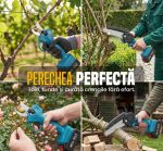 Set Drujbă și Foarfecă Electrică pentru Grădinărit, 2 Acumulatori 48V, Drujbă cu Lamă de 6 Inch și Lanț Inclus, Negru-Albastru - imagine 6